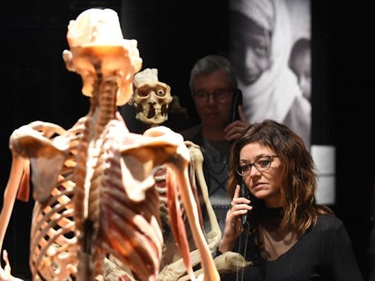 Ausstellung „BODY WORLDS & Der Kreislauf des Lebens“ in Kempten