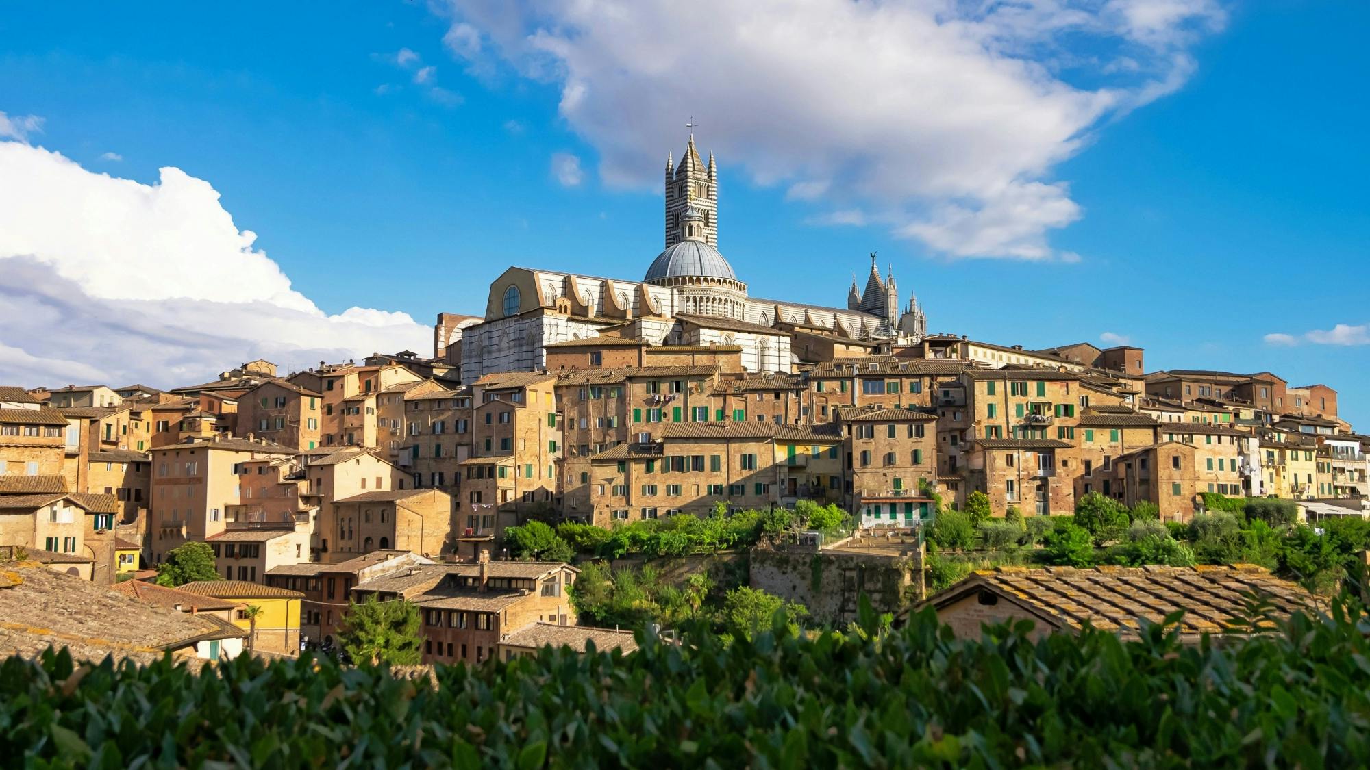 Audio-Rundgang durch Siena mit Besichtigung der mittelalterlichen Altstadt und der Piazza del Palio