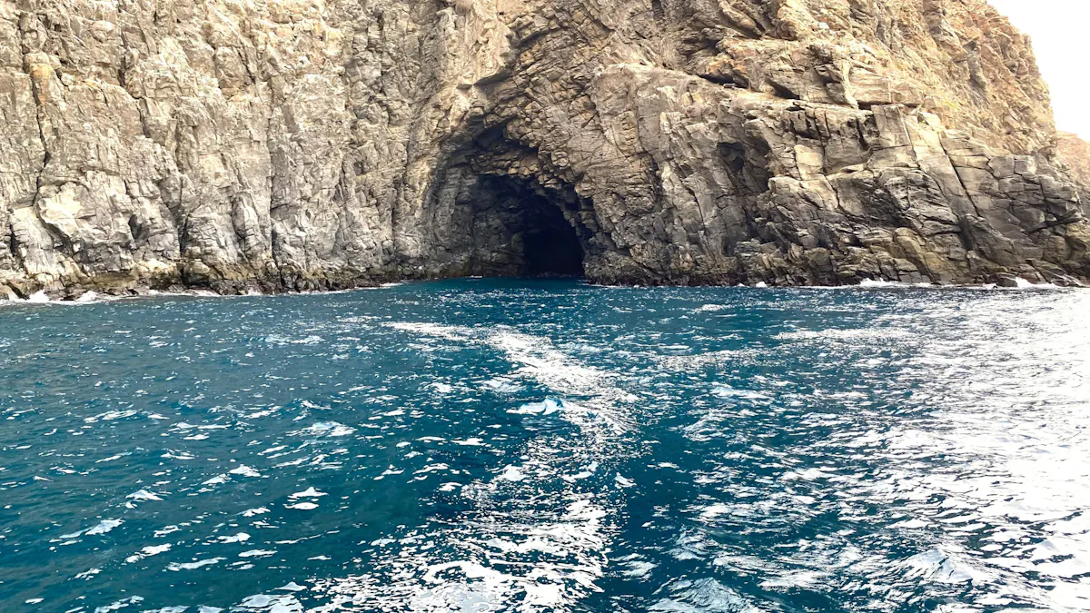 Tenerife half-day boat cruise