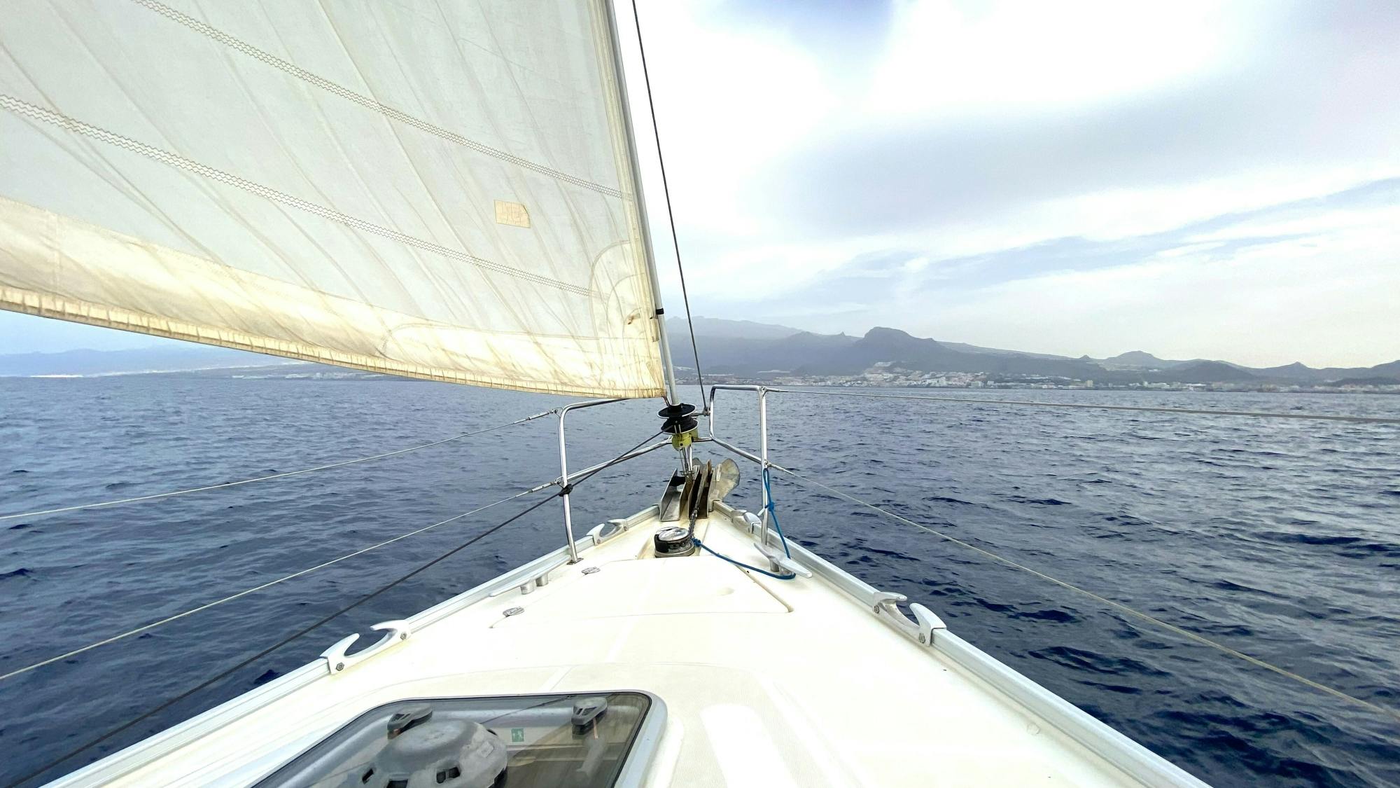 Boottocht van een halve dag op Tenerife