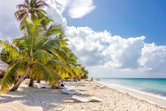 Saona Island highlights boat tour with buffet lunch