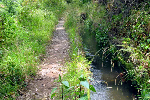 Serra de Agua Walk