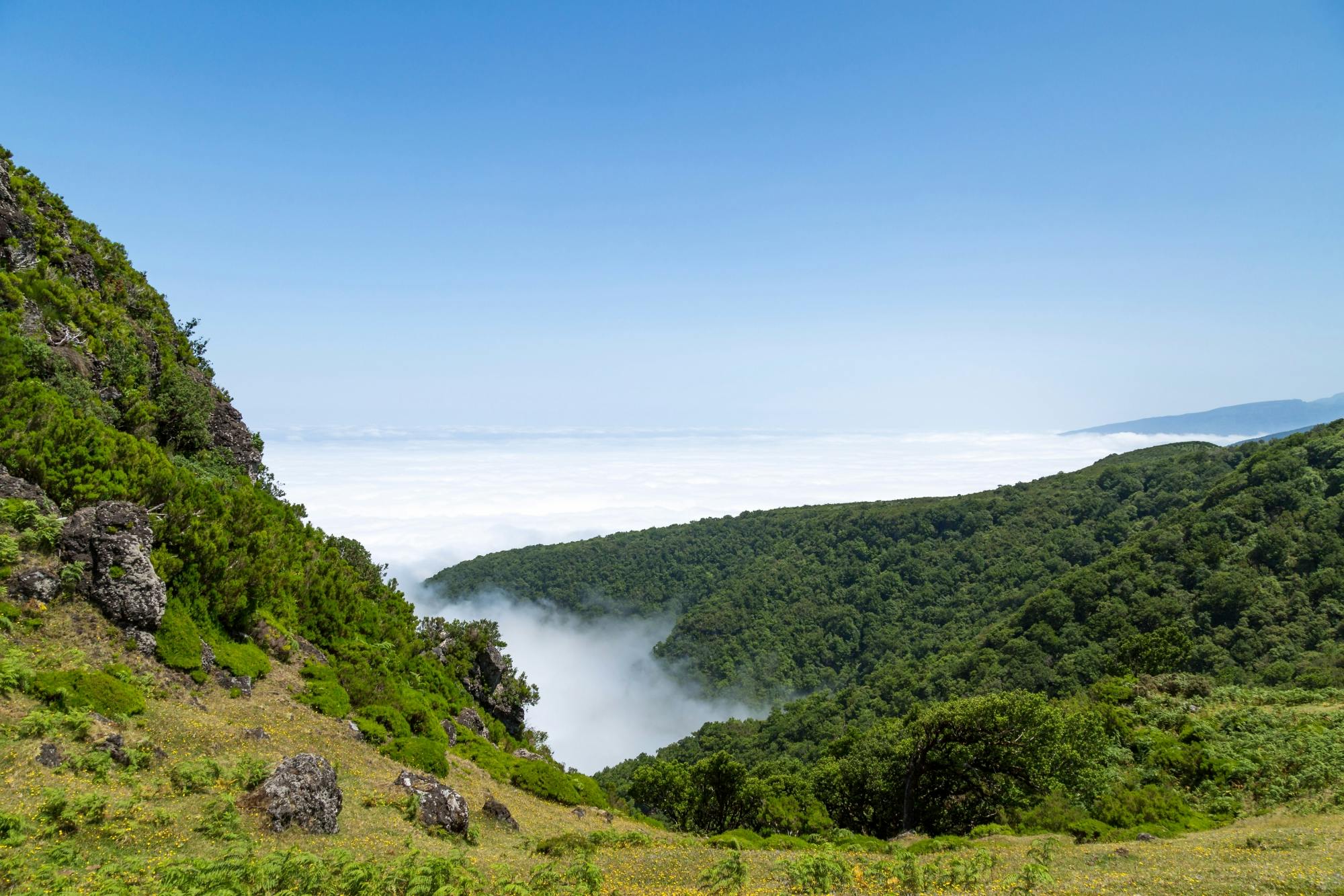 Serra de Agua Walk