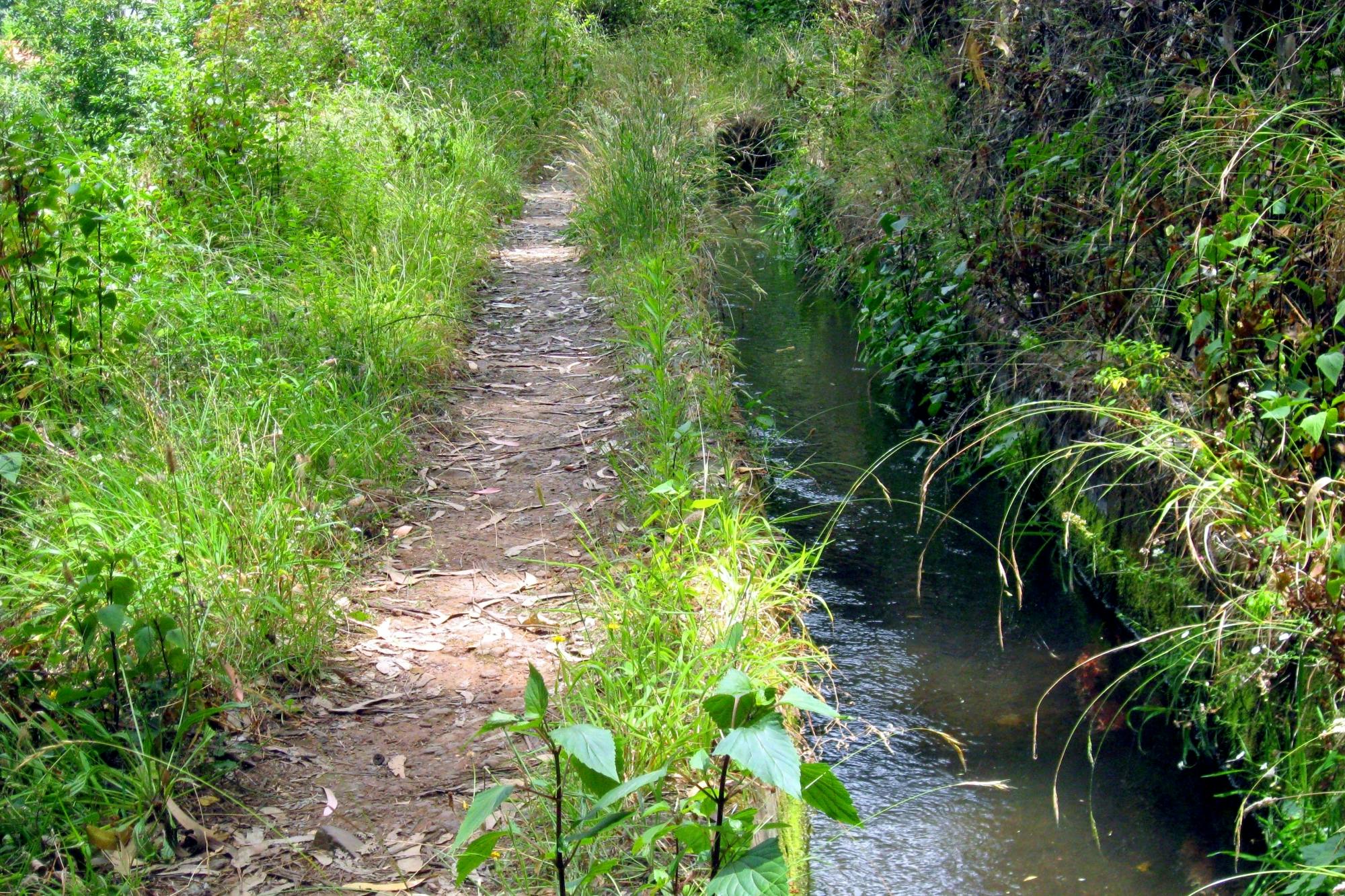Serra de Agua Walk