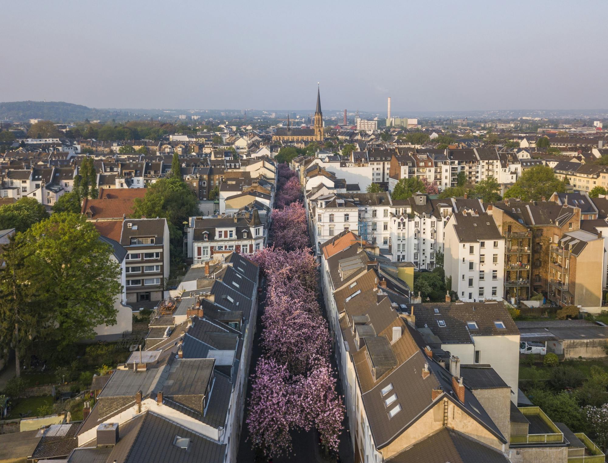 Audiowandeling door Bonn langs historische bezienswaardigheden en het Beethovenhuis