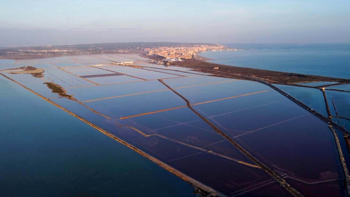 Rondleiding langs de hoogtepunten van Santa Pola vanaf Alicante
