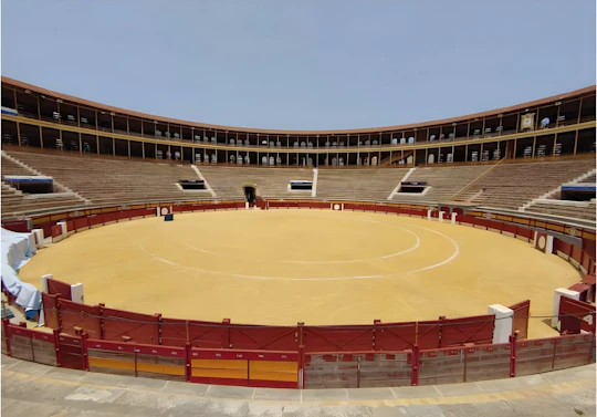 Alicante Bullring and Central Market tour with tastings