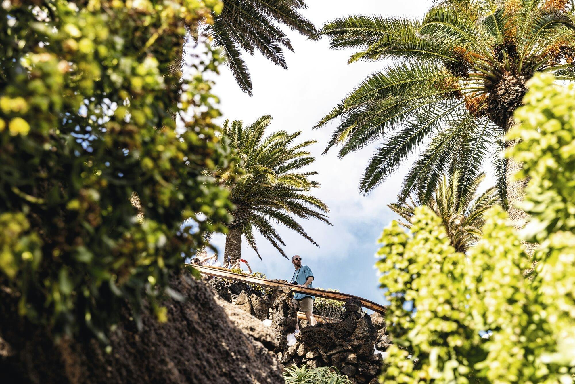 LANZAROTE_BRAND_23_F174.jpg