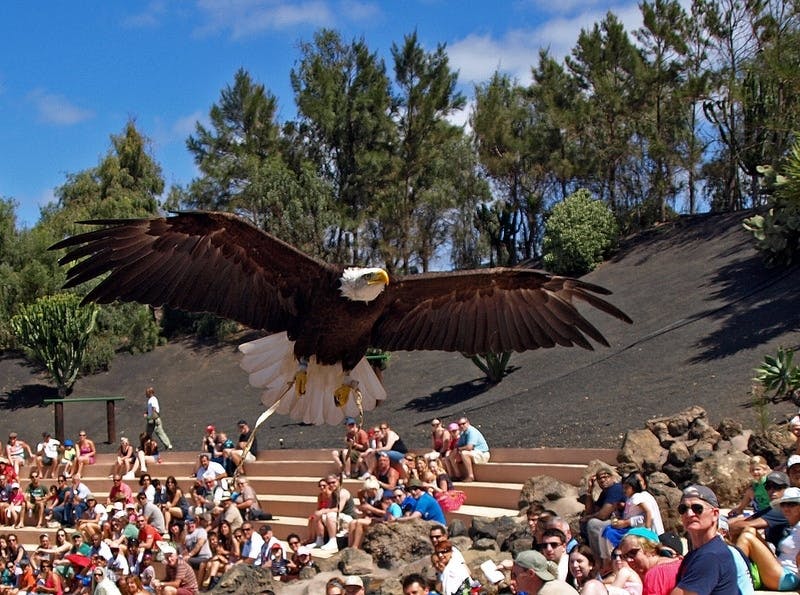 3PC_Lanzarote_Rancho_Texas_Entrance_27.jpg