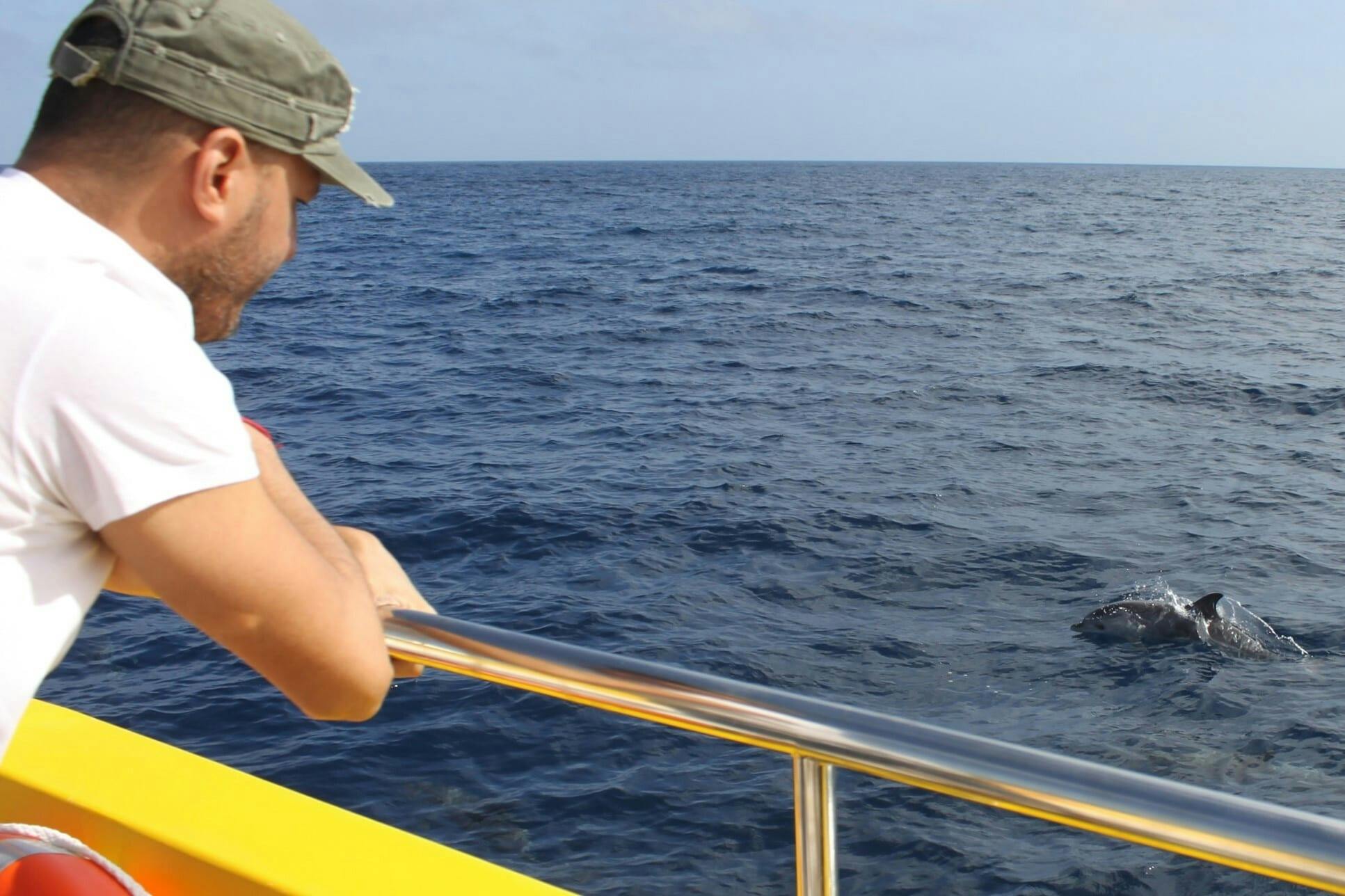 3PC_Spain_Lanzarote_Sunset_and_Dolphins_3.jpg