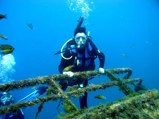 37362_100.jpg