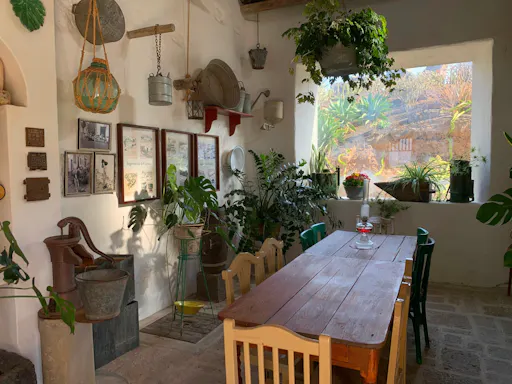 EGC_Krystyna_Kowalczyk_Spain_Lanzarote_Bodega_Mota_01.jpeg