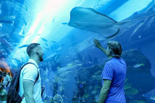 FL_United_Arab_Emirates_Dubai__Dubai_Aquarium_and_Underwater_Zoo_10.jpg