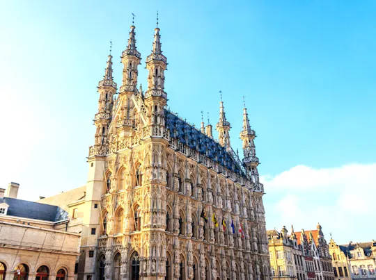 Leuven city highlights walking tour with a local