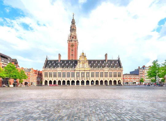 Leuven 2-hour intro walking tour with a local