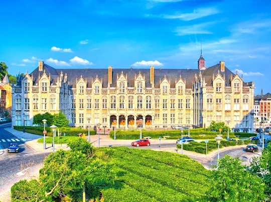 Liège city highlights walking tour with a local