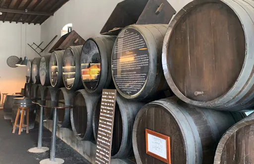 EGC_Krystyna_Kowalczyk_Spain_Lanzarote_Bodega_La_Geria_03.JPEG