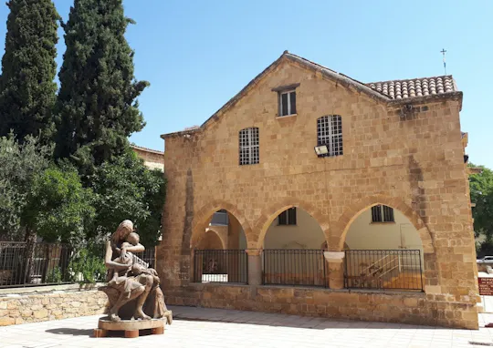 Excursion d'une journée à Nicosie au départ d'Ayia Napa, avec visite de la vieille ville et de la ligne verte