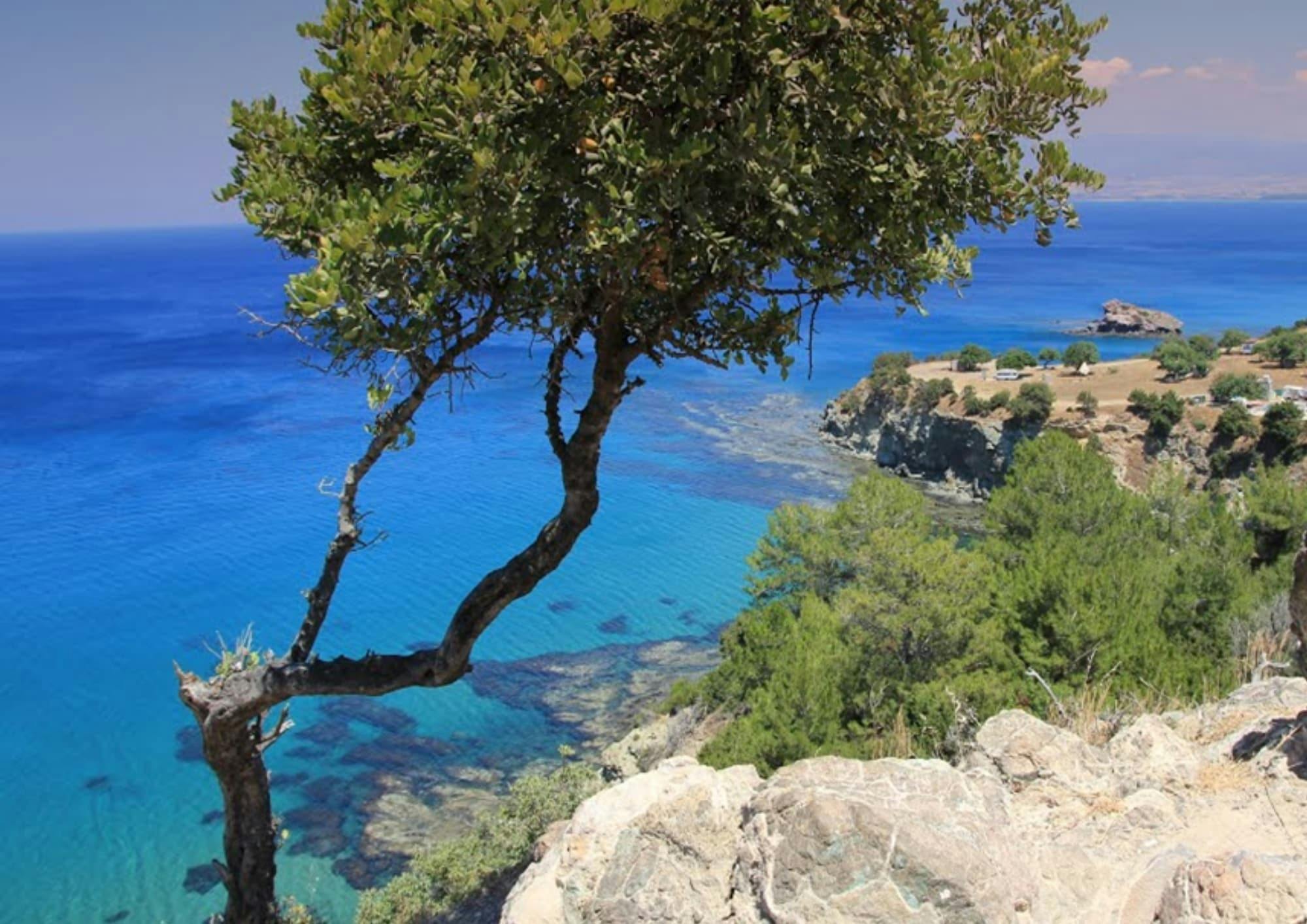Excursion d'une demi-journée : monastère, port de Latchi et bains d'Aphrodite