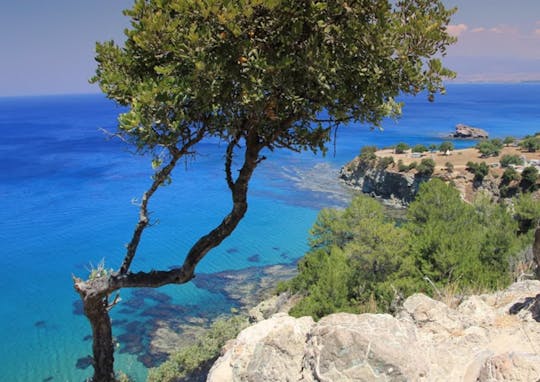 Excursion d'une demi-journée : monastère, port de Latchi et bains d'Aphrodite