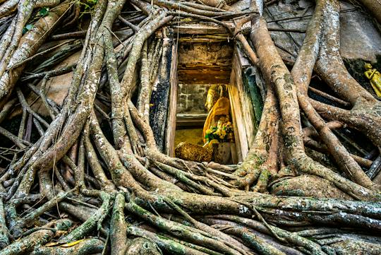 Excursão ao Mercado Ferroviário de Banguecoque, ao Wat Bang Kung e a Klong Khon