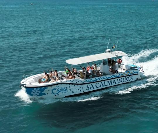 Excursion en hors-bord dans la réserve marine de Palma avec plongée en apnée