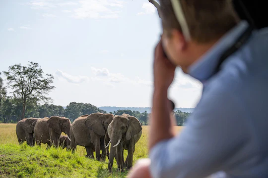 2-day Masai Mara safari with overnight stay at Governors Camp