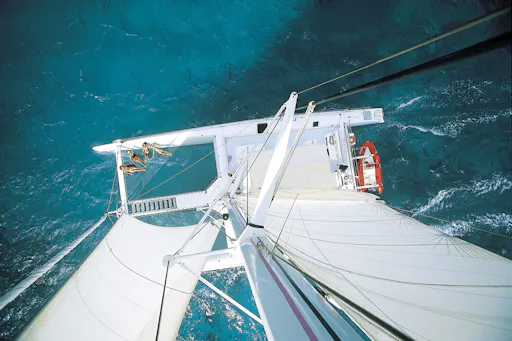 VIP Catamaran Cruise