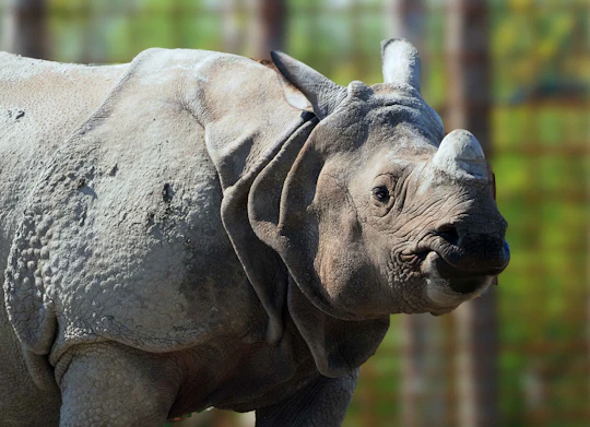 Eindhoven Zoo admission ticket