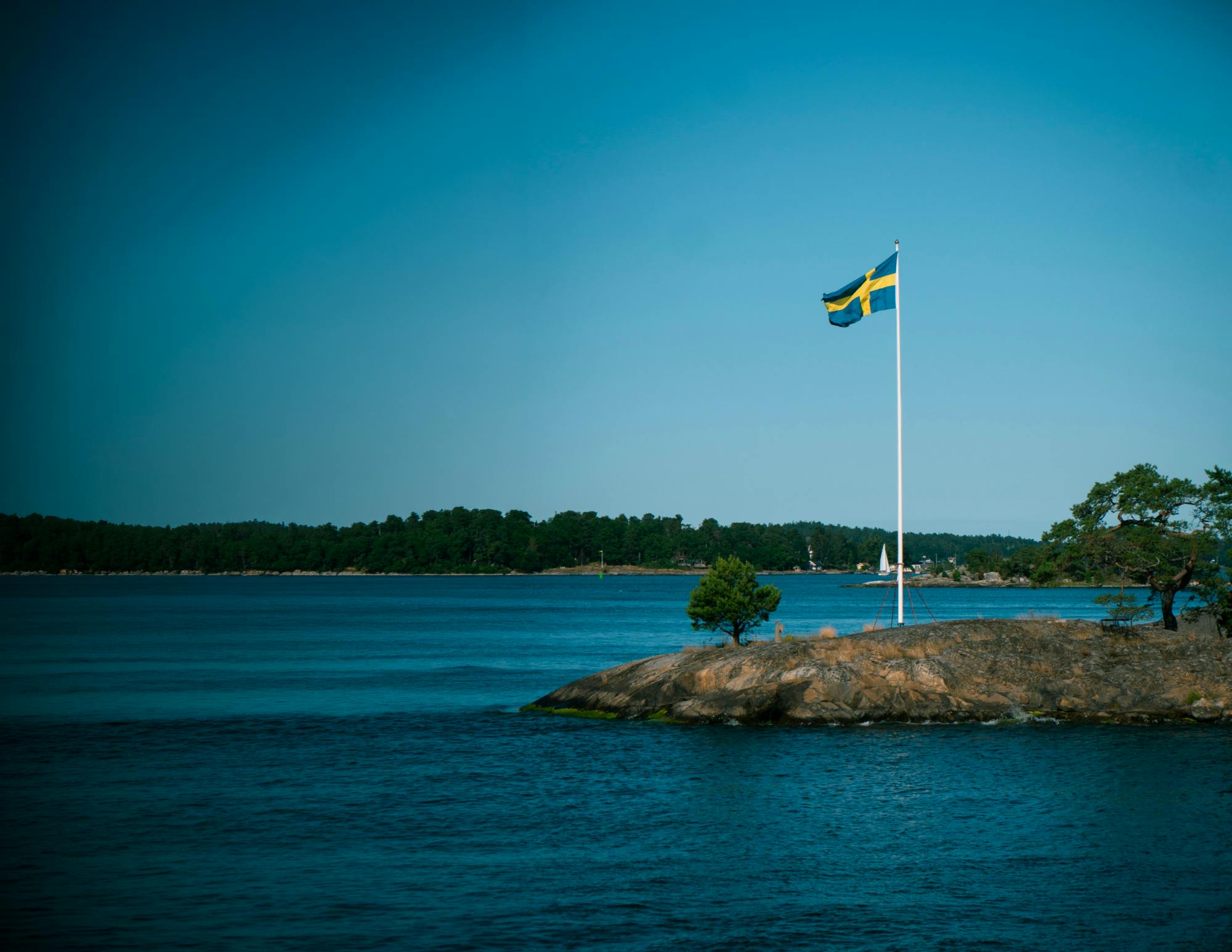 202607096a4f5d64df92f.png