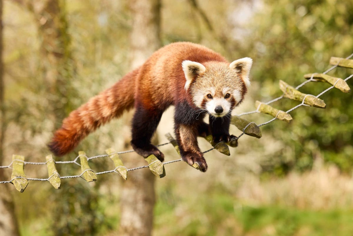 Toegangskaartje voor het AquaZoo-dierenpark in Leeuwarden