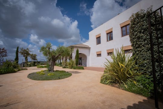 Una mattinata in cantina in Andalusia tra vigneti, vino e musica dal vivo con la chitarra