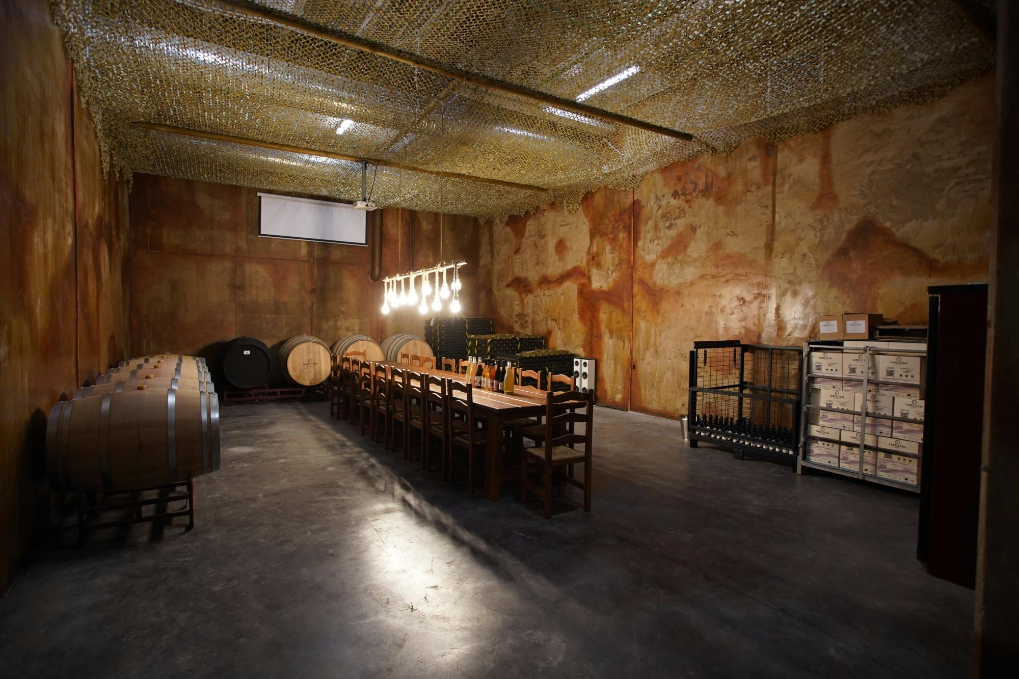 Winery morning in Andalusia with vines, wine and live guitar