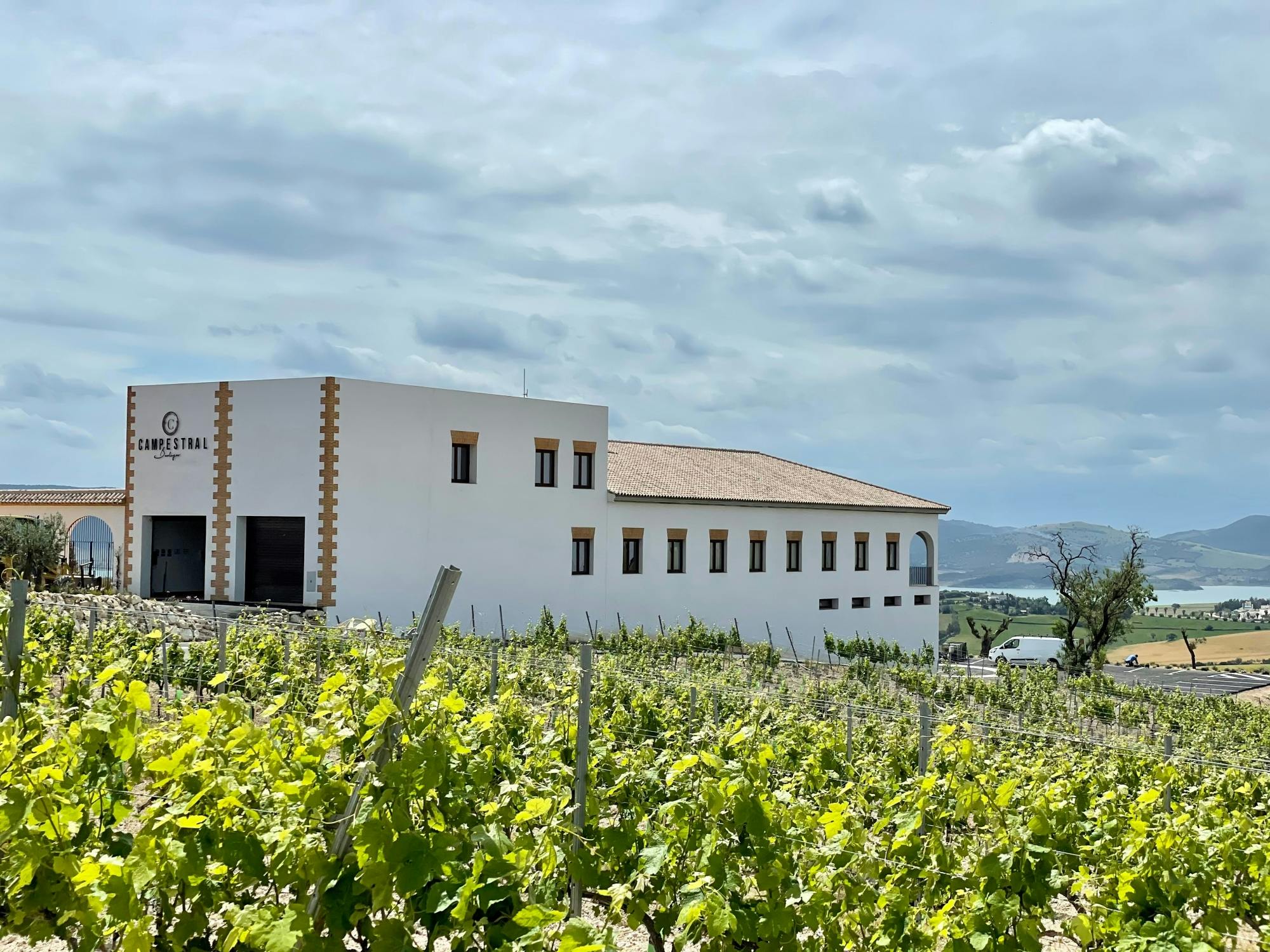 Winery morning in Andalusia with vines, wine and live guitar