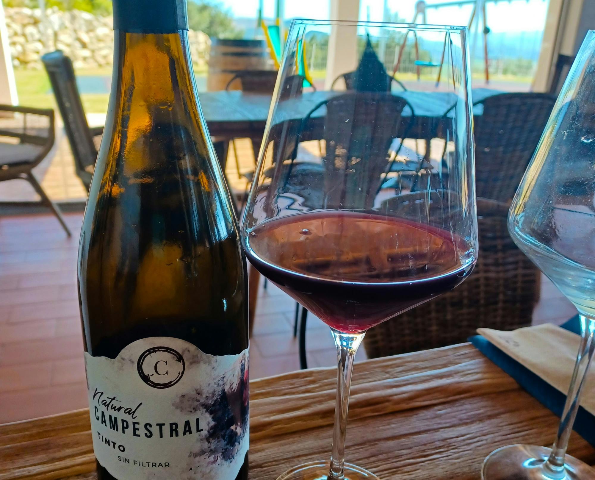 Winery morning in Andalusia with vines, wine and live guitar