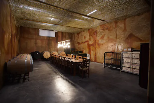 Winery morning in Andalusia with vines, wine and live guitar