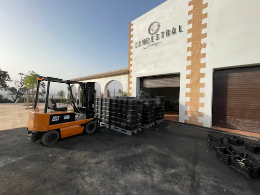 Winery morning in Andalusia with vines, wine and live guitar