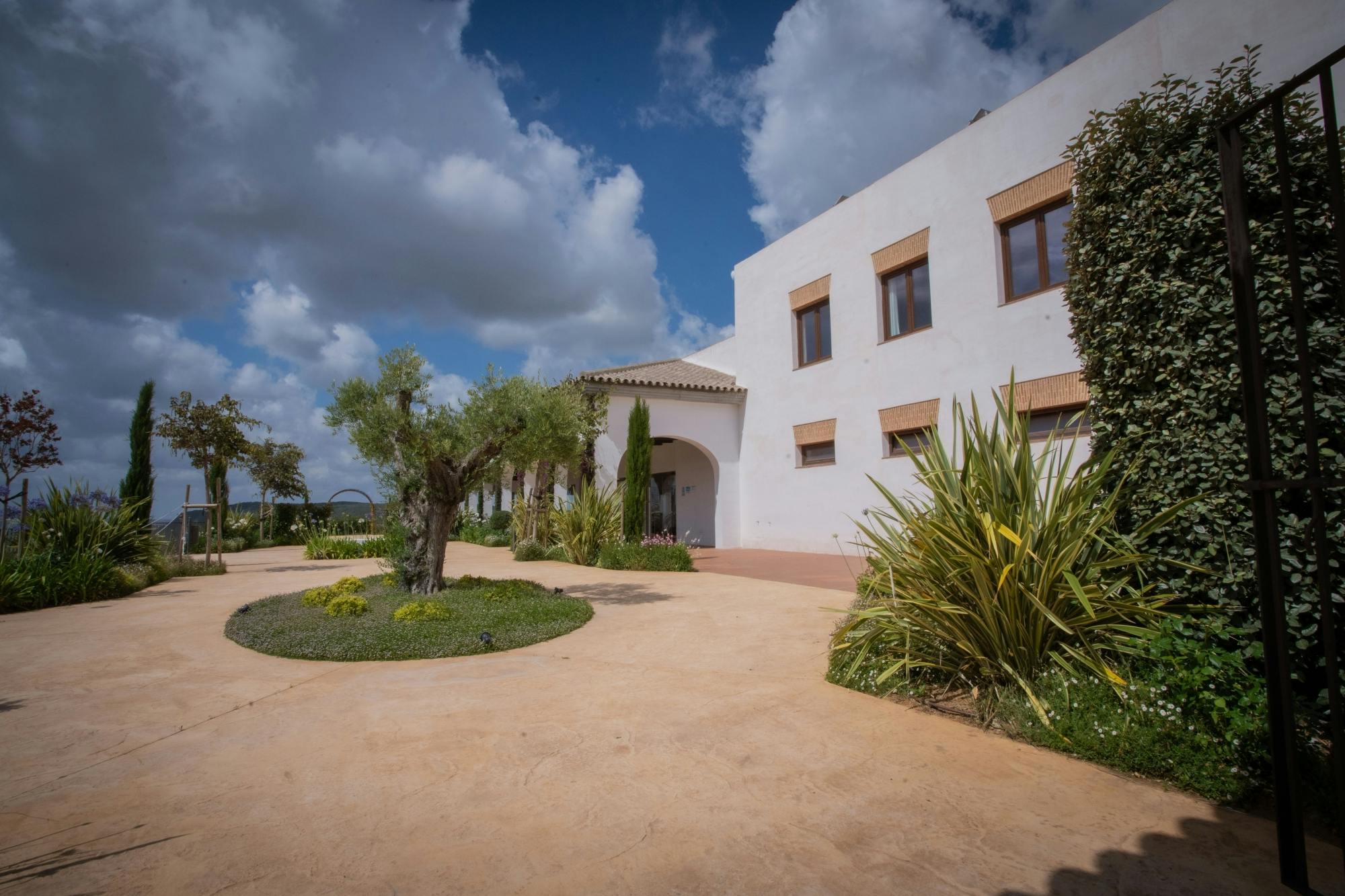 Winery morning in Andalusia with vines, wine and live guitar