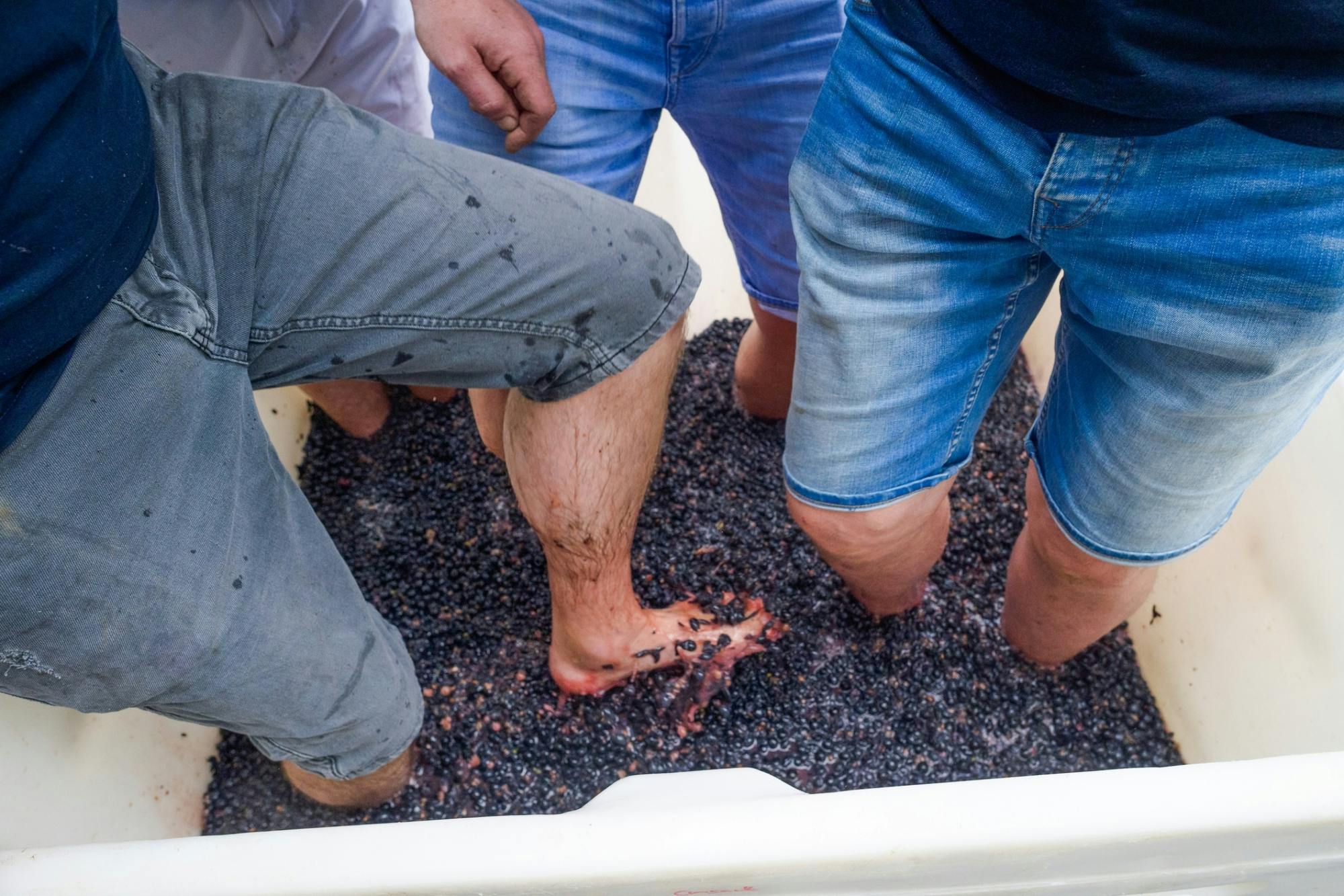 Wine festival in Madeira’s Camara de Lobos with grape harvesting
