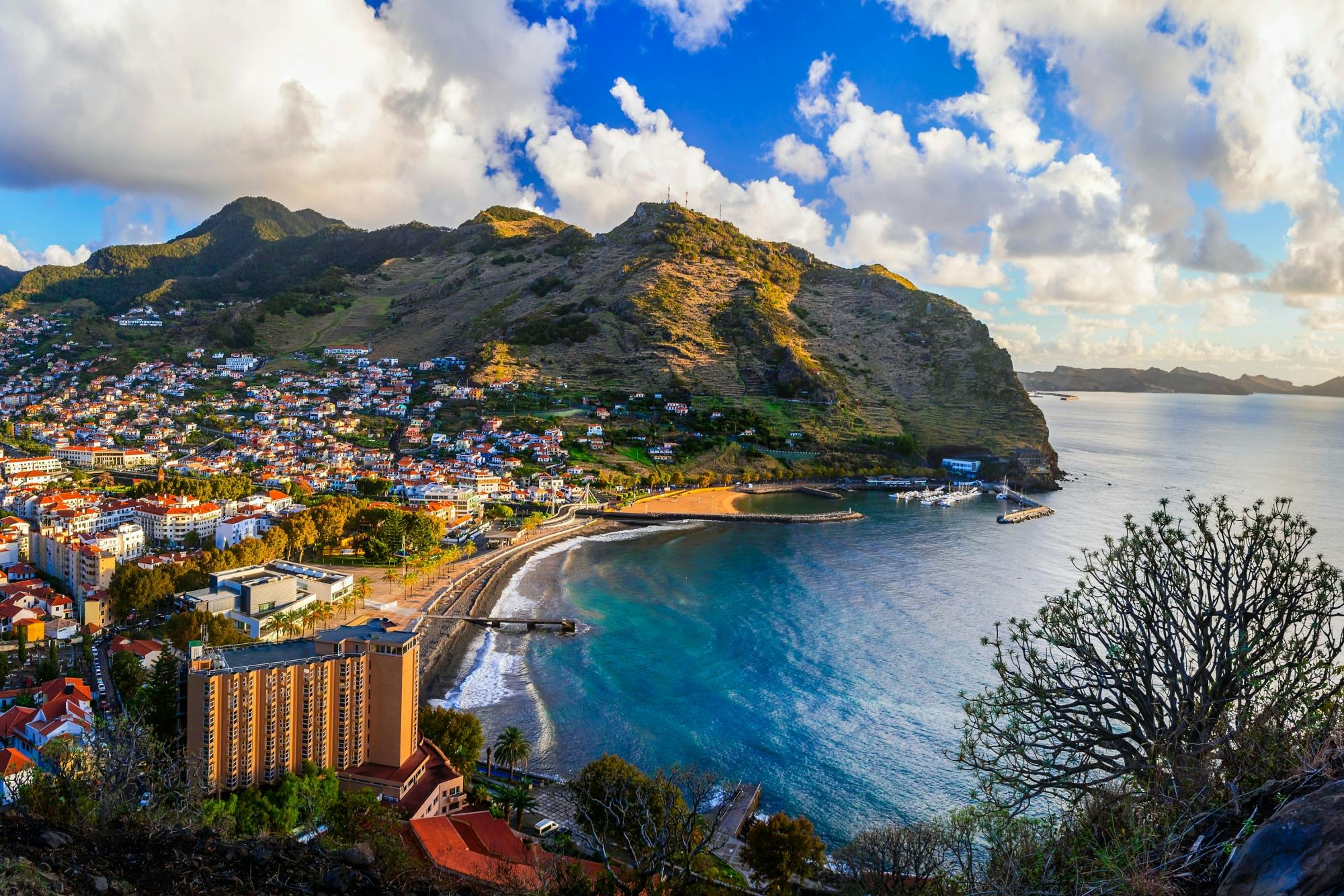 Machico Gastronmic Festival transfer