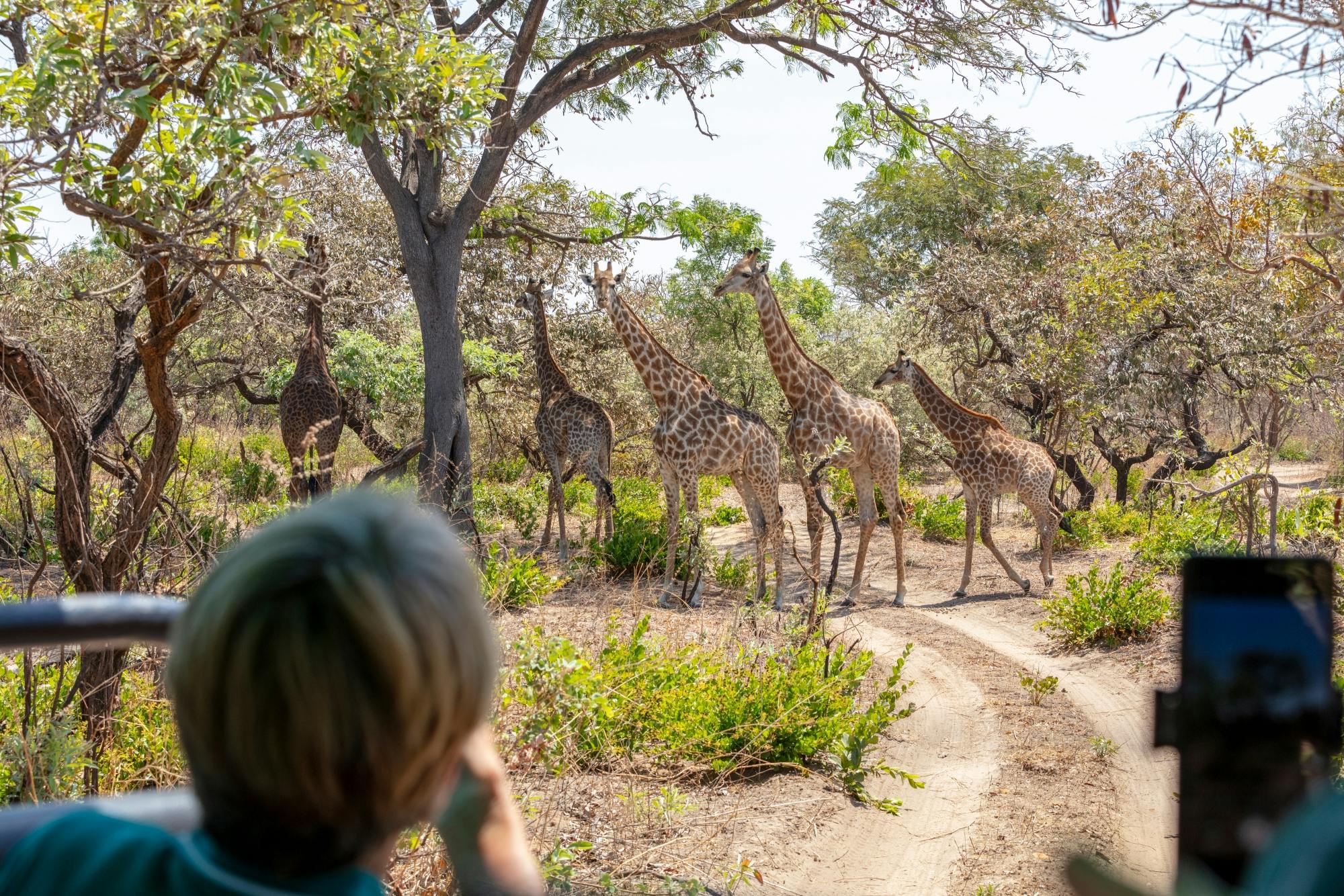 Fathala Wildlife Reserve full-day tour