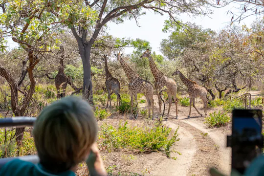 Fathala Wildlife Reserve Tagestour