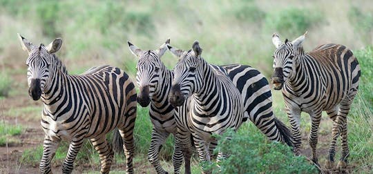 Safari de 3 días por Tsavo Oeste con pernoctación en el Severin Safari Camp