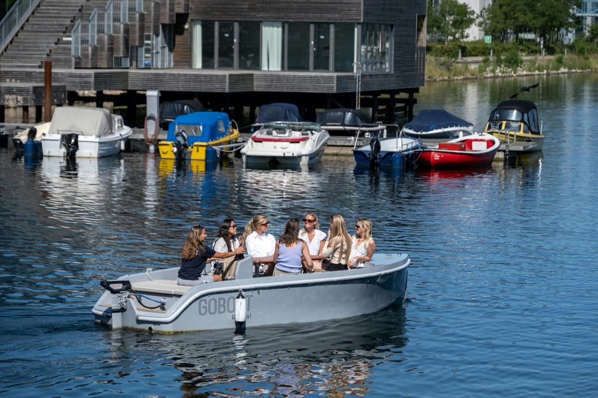 Privétour van 2 uur per elektrische Boottocht in Kopenhagen