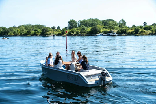 Private 4-hour electric cruise in Copenhagen's waterways