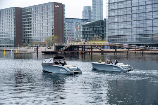 Private 3-hour electric boat cruise in Copenhagen's waterways