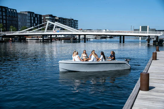 Private 3-hour electric boat tour of Copenhagen's canals