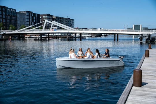 Passeio privado de 3 horas de barco elétrico pelos canais de Copenhaga
