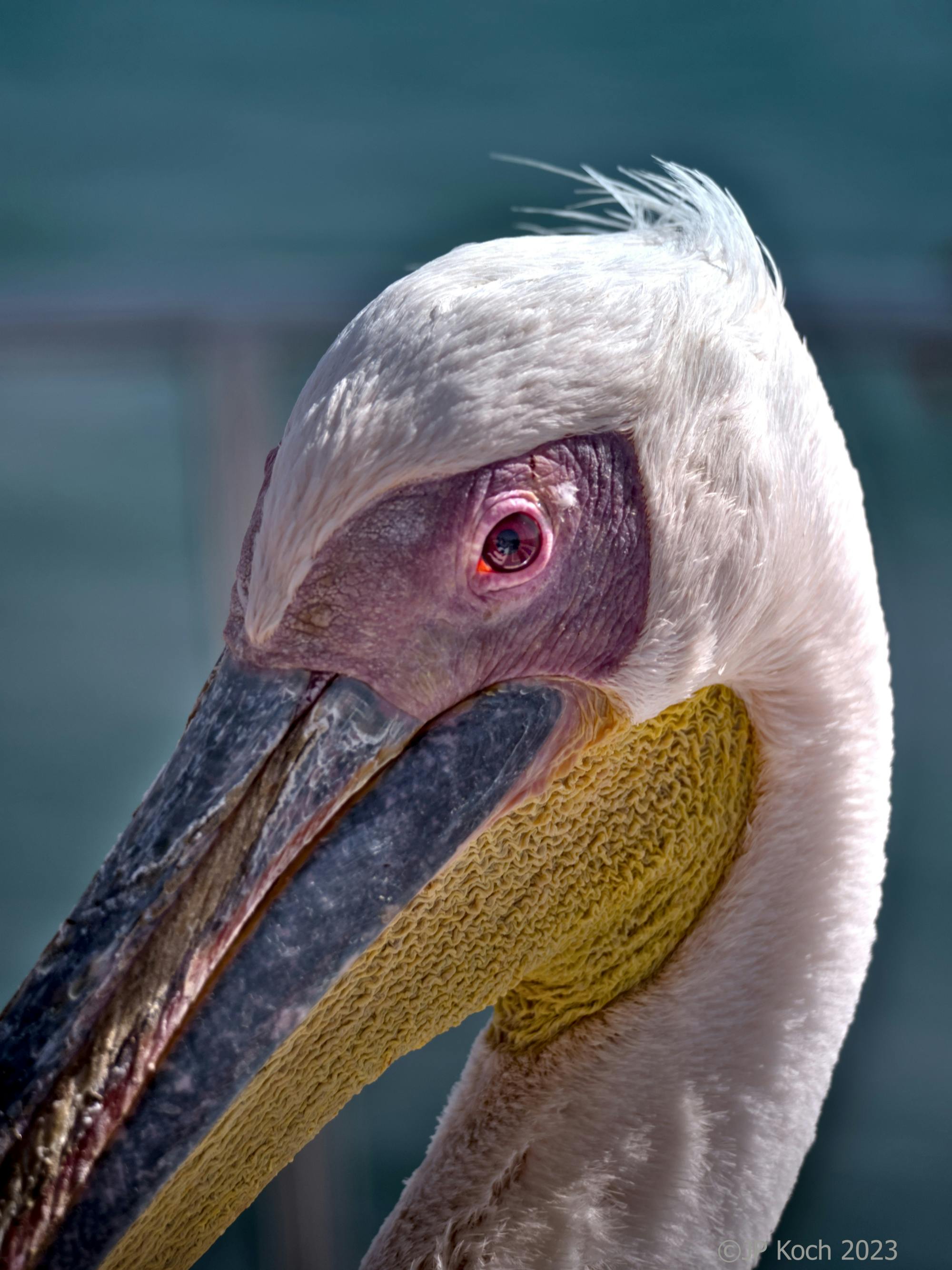 202607136a554a18d8e6a.jpg