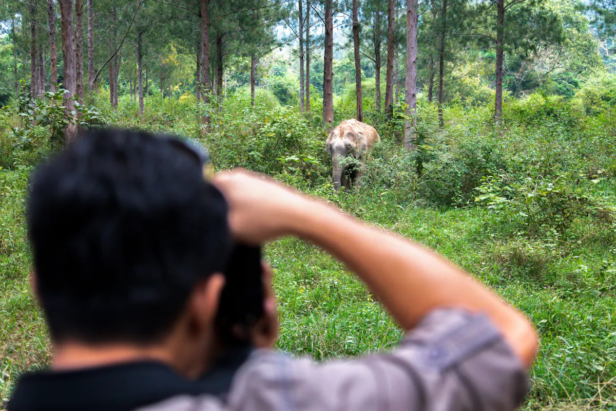 Thailand’s temples and trunks tour with Kui Buri elephant safari from Hua Hin